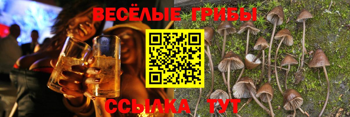 Псилоцибиновые грибы Psilocybine cubensis Саки