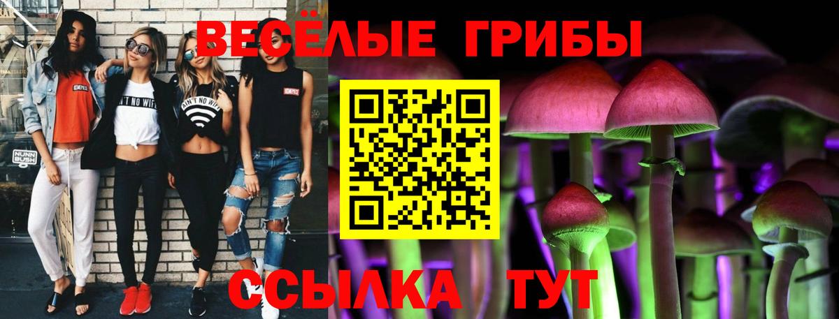 Саки  Галлюциногенные грибы Psilocybe  Вход с VPN  Галлюциногенные грибы GOLDEN TEACHER 
